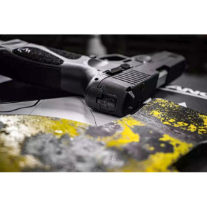 CAPOT ARRIERE CULASSE COVER PLATE PUNISHER TAURUS G3