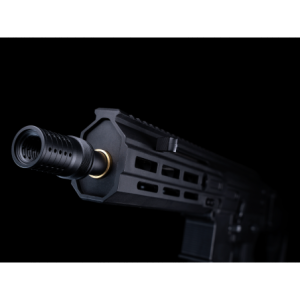 REPLIQUE LONGUE 6MM FLCN 5.56 M95 NOIRE