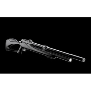 CARABINE M25 PCP C5.5 38J