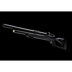 CARABINE M25 PCP C5.5 38J
