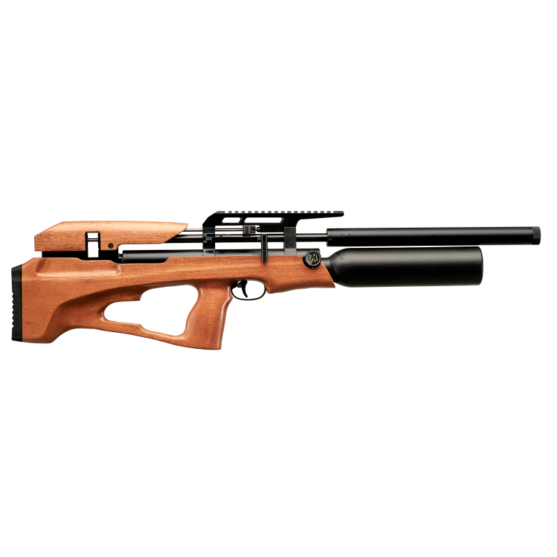 CARABINE P35XB PCP C5.5 52J