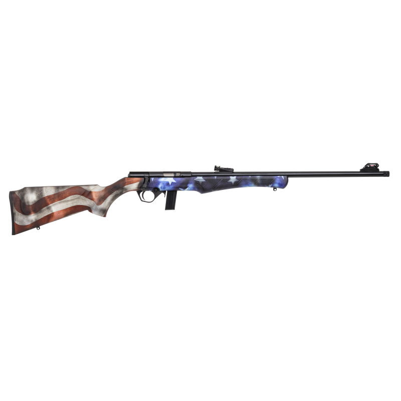 CARABINE 8122 22LR USA