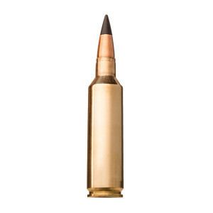 BALLES 243WIN EXTREME POINT 95GR X20