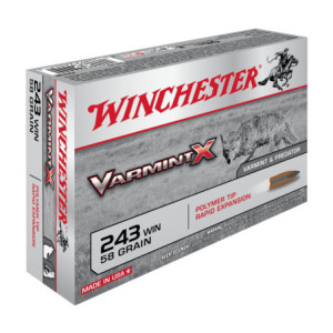 BALLES 243WIN VARMINT X 58GR X20