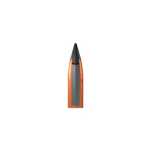 BALLES 300WM EXTREME POINT 180GR X20