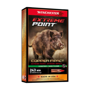 BALLES 300WM EXTREME POINT LF 180GR X20