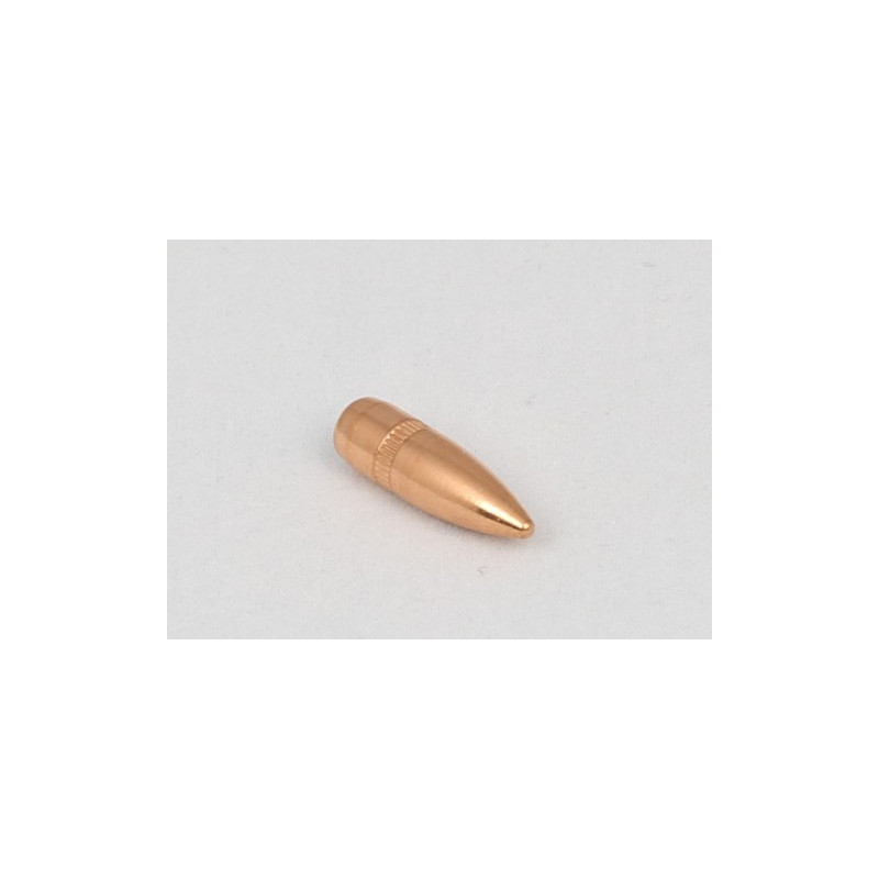 Ogives CAM PRO 223 BT FMJ 55 grains diamètre 224 par 500
