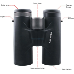 JUMELLES PARAGON 10X42