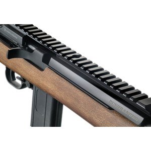 CHIAPPA Carabine Bushranger 18.5'' 22LR