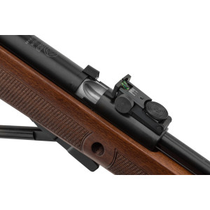 CARABINE GAMO CFX ROYAL À CANON FIXE CAL. 4,5 MM