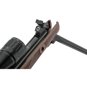 Carabine Gamo Hunter 440 AS cal. 4,5 mm + lunette 3-9 x 40 WR