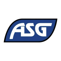 ASG