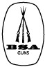 BSA Guns